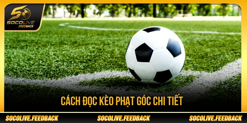 Hướng dẫn cách đọc kèo phạt góc nhanh nhất