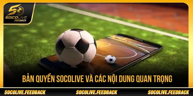 Bản Quyền Socolive - Quy Định Sử Dụng Nội Dung Các nội dung quan trọng trong chính sách bản quyền Socolive