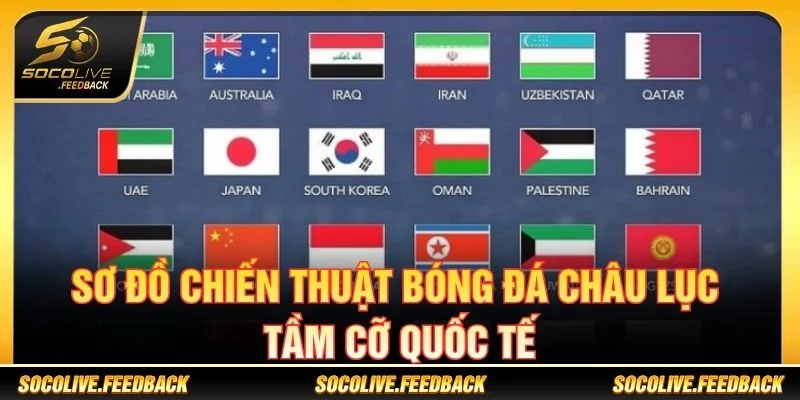 Asian Cup là giải đấu quy tụ nhiều đội tuyển mạnh của châu Á