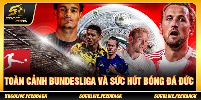 Bundesliga - Lịch Thi Đấu, Kết Quả Và Tin Bóng Đá Đức Toàn cảnh Bundesliga và sức hút của bóng đá Đức